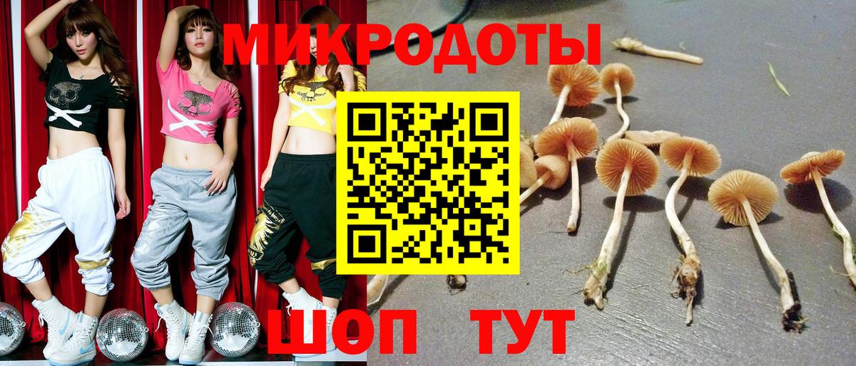 где можно купить   Галлюциногенные грибы мухоморы  Вход с VPN  Чистополь 